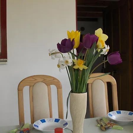 Apartament Facankert Apartmanhaz